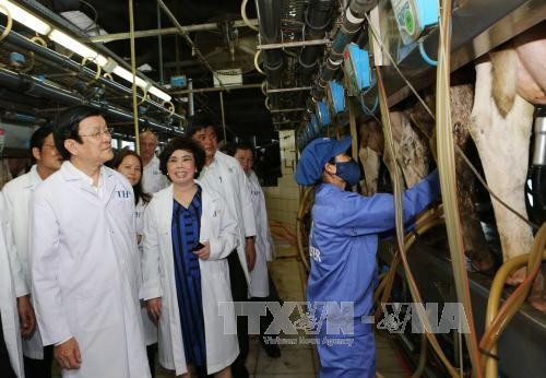Президент СРВ Чыонг Тан Шанг побывал в провинции Нгеан с рабочим визитом - ảnh 1